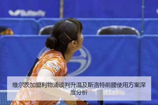wei-er-ci-jia-meng-li-wu-pu-tan-pan-sheng-wen-ji-si-luo-te-qian-yao-shi-yong-fang-an-shen-du-fen-xi-2-240.jpg